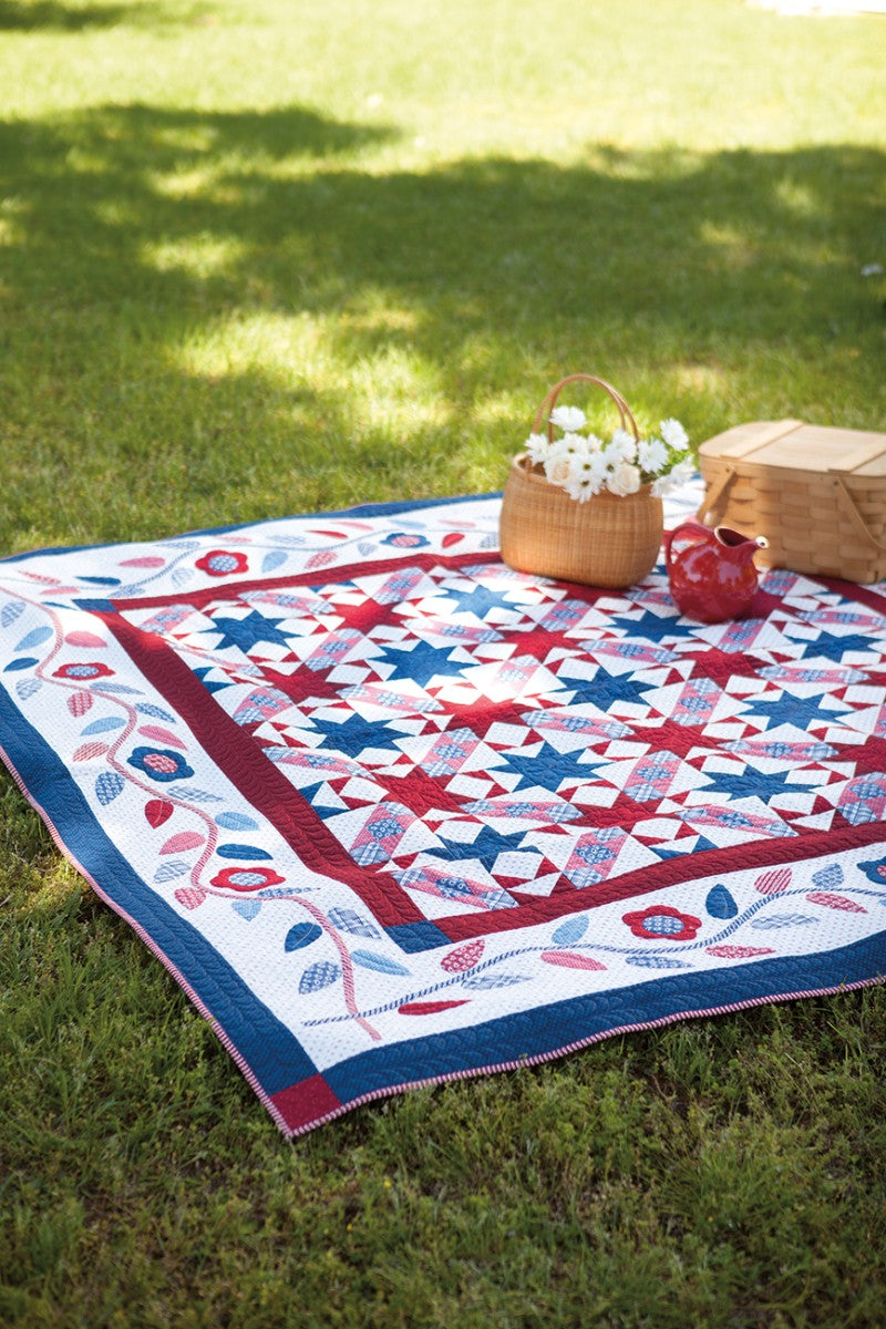 Best of Nancy Rink Quilts - image 9