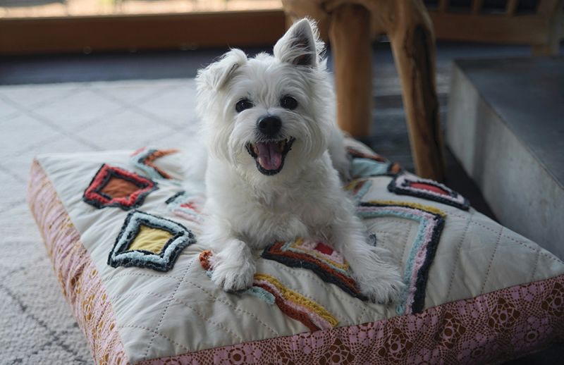 Quilt Recipes - image 7