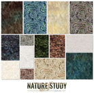 10in Squares Nature Study, 42pcs, 4 bundles/pack