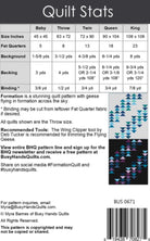 Formation Quilt Pattern by Myra Barnes - includes 5 sizes. Fat Quarter Friendly - QuiltingJoyPDX