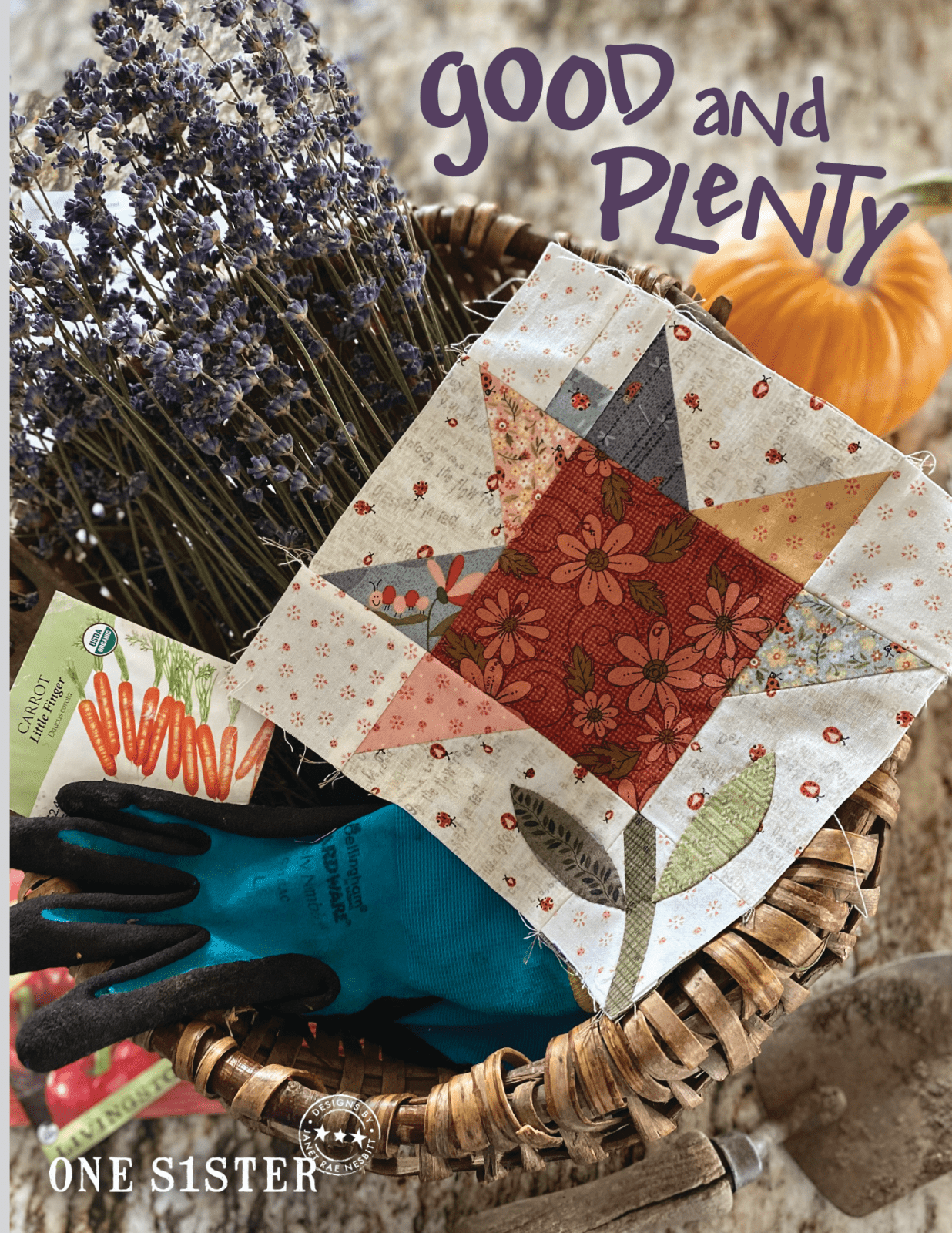Good & Plenty Quilt Book by Janet Rae Nesbitt — One Sister - QuiltingJoyPDX
