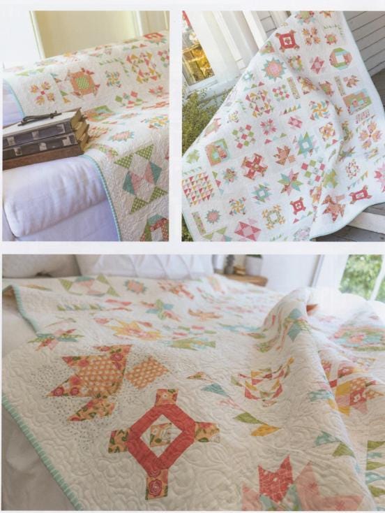 Summer Moon Block of the Month book by Carrie Nelson - 10 month BOM