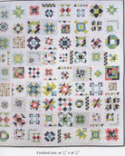 Summer Moon Block of the Month book by Carrie Nelson - 10 month BOM
