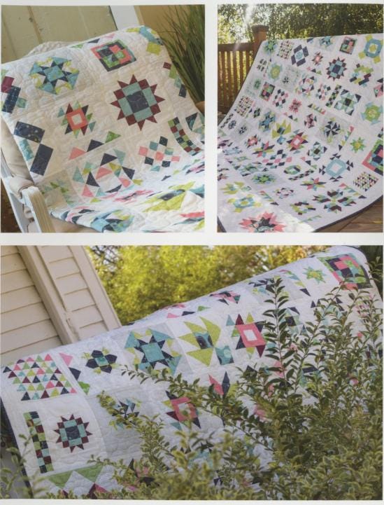 Summer Moon Block of the Month book by Carrie Nelson - 10 month BOM