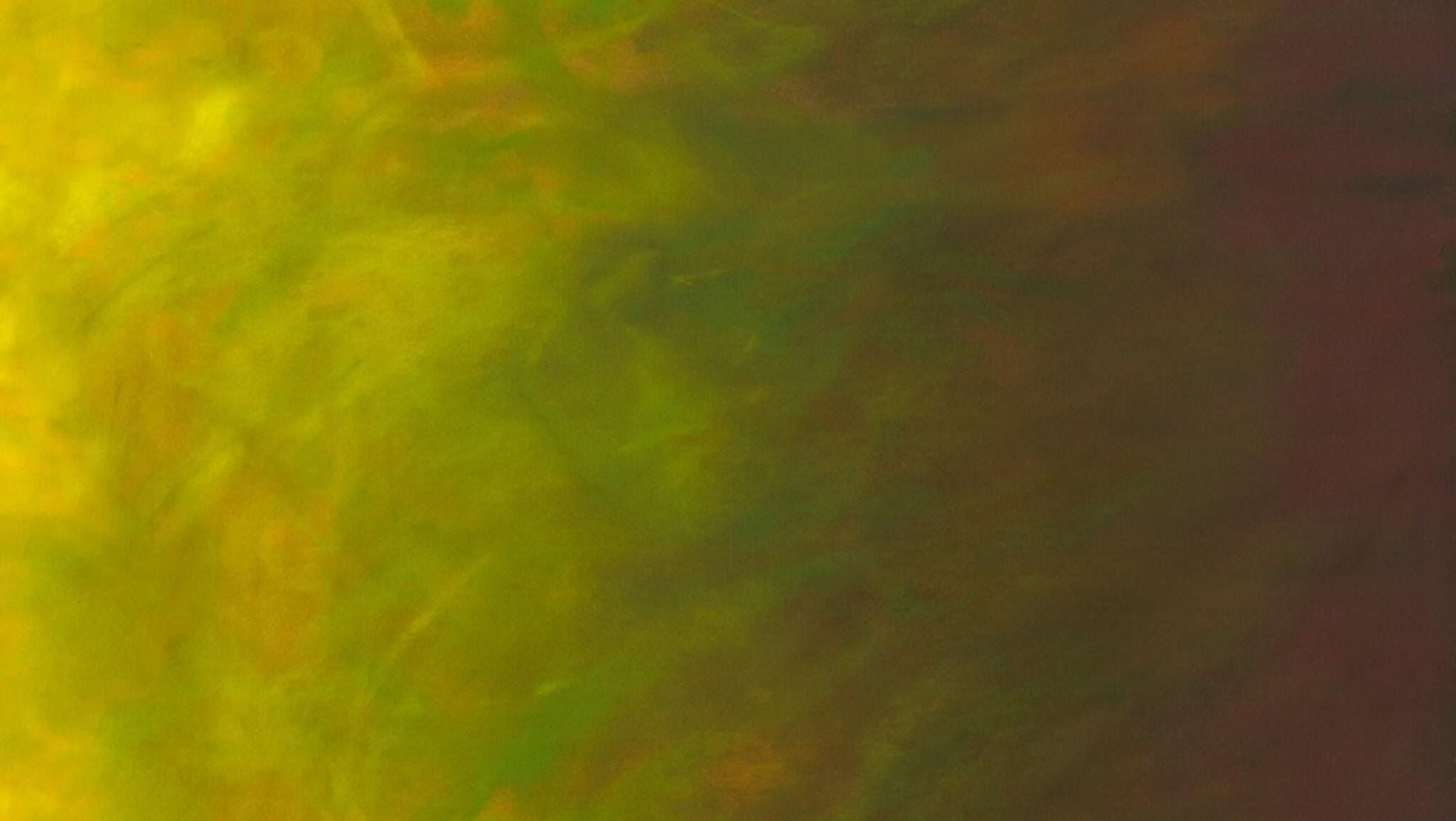 Lone Star Quilt Kit  Ombre Star Quilt  Jennifer Sampou SKY Fabrics  Big Sky Stars  Plains & Pine Pattern  85" Quilt Kit