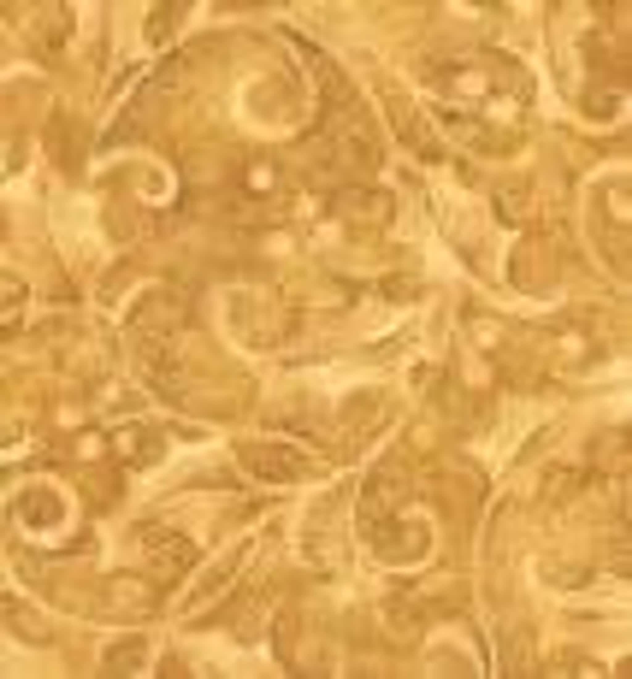 A golden-brown fabric with a swirling, ornate pattern resembling damask or filigree.