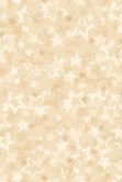 Star of Wonder, Star of Light Quilt Kit – Nancy Holvorsen Fabric Panel