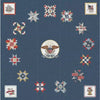 Patriotic Quilt Kit, Independence Block of the Month with Vibrant Fabrics