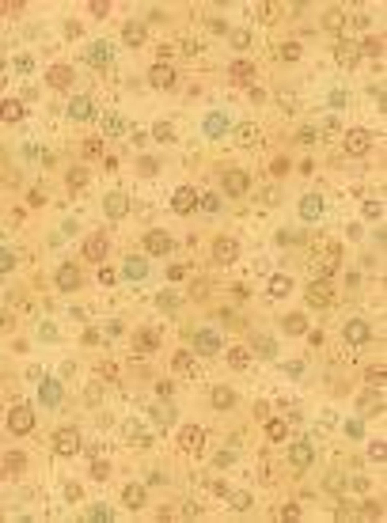 Quilt Kit Featuring Nancy Holvorsen's Star of Wonder Fabric Panel - QuiltingJoyPDX