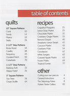 Stripology Mixology Book - QuiltingJoyPDX